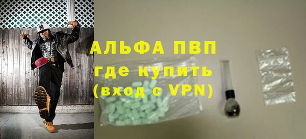 прущие грибы Медногорск