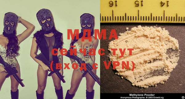 прущие грибы Медногорск