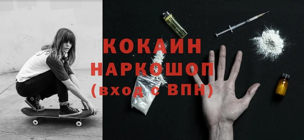 прущие грибы Медногорск