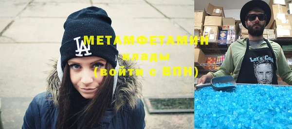 прущие грибы Медногорск
