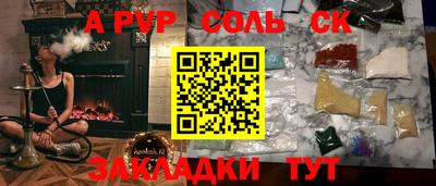 крисы Камышлов