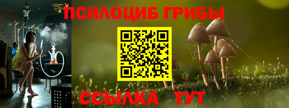 Галлюциногенные грибы Cubensis Кудымкар